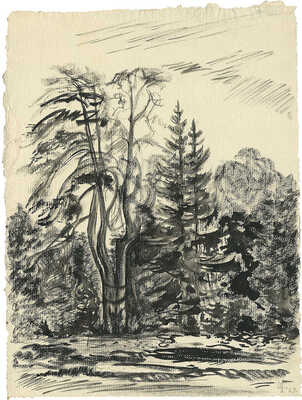 Тарханов Михаил Михайлович. Елизаветино